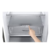 LG Kühl-Gefrierkombination | 341 Liter Nutzinhalt | Energieeffizienzklasse D | Steel | 186 cm | Inverter-Linearkompressor | GBB72SWEFN, GBB71PZDFN