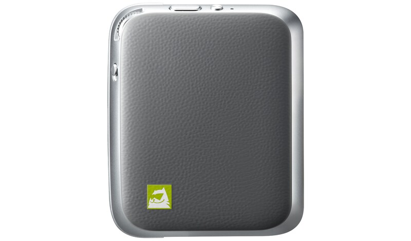 LG CAM Plus, CAM PLUS