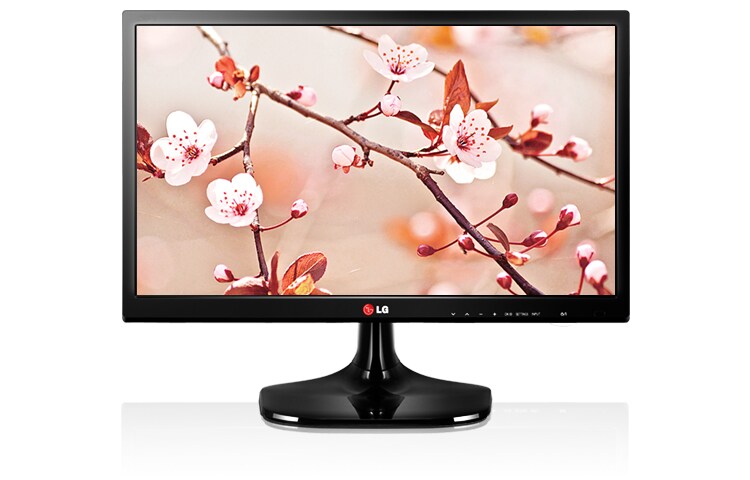 Vorderseite von LG IPS-Monitor-TV MT46 24MT46D