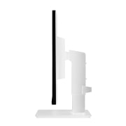 LG 24 Zoll IPS Monitor mit Full HD-Auflösung und Farbkalibrierung, 24BN650Y-W.AED