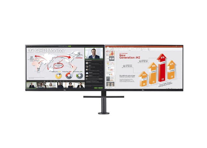 LG Ergo-Dual-QHD-Monitor 27 Zoll und Daisy Chain, 27QP88D-B