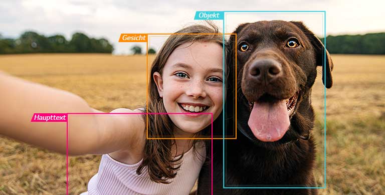 Ein Mädchen, das ein Selfie mit einem Hund auf einem Feld macht, wobei die Bereiche Face, Body und Object (Gesicht, Körper und Objekt) ausgewählt sind.