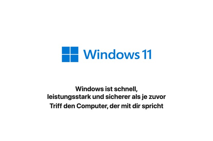 Windows 11