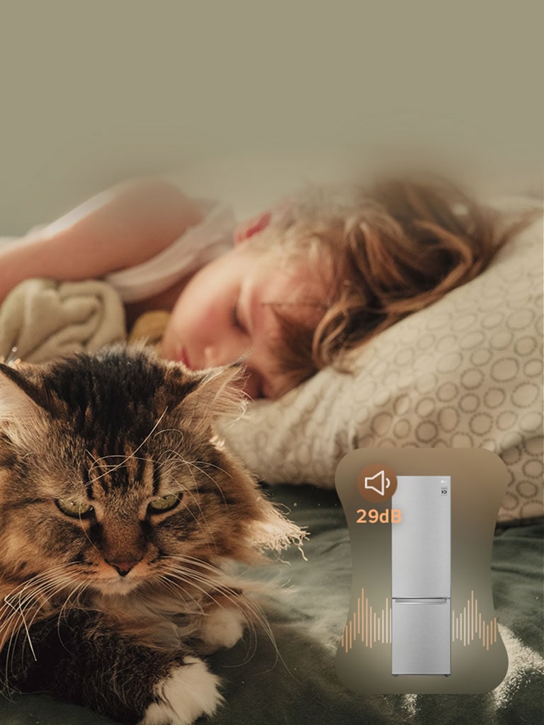 Leben Sie in Frieden mit einem leiseren Kompressor