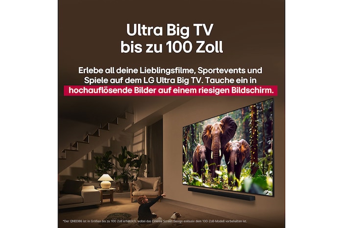 Ein Mädchen und ein Hund sitzen vor einem LG QNED-Fernseher, der an einer Wand montiert ist und drei Elefanten zeigt, die über einer LG Soundbar nach außen laufen. Der Titel spricht davon, dass jede Aktion auf einem großen Bildschirm noch spannender ist.