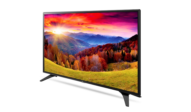 LG FULL HD TV, 43LH604V