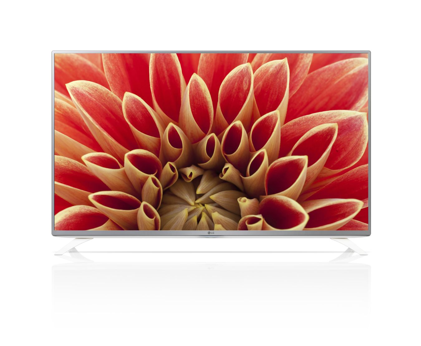 Vorderseite von Smart TV mit 123 cm (49 Zoll) Bildschirmdiagonale und webOS 49LF5909