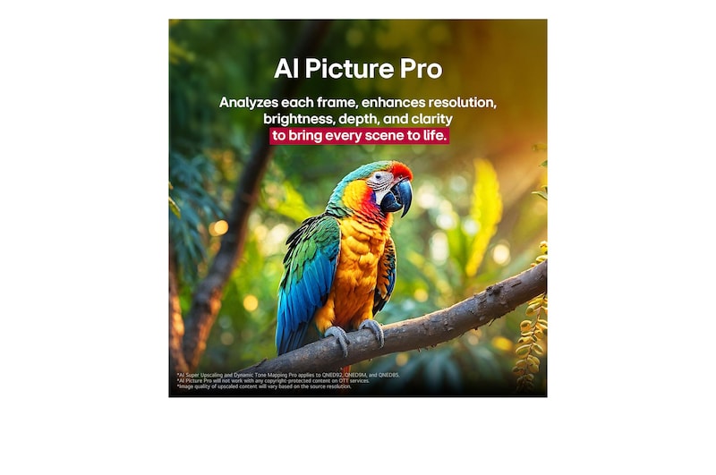 Papagei auf einem Ast in lebendigen Farben. Der Titel beschreibt, wie LG Al Picture Pro die Auflösung, Helligkeit, Tiefe und Klarheit der Szene eindrucksvoll verbessert hat.