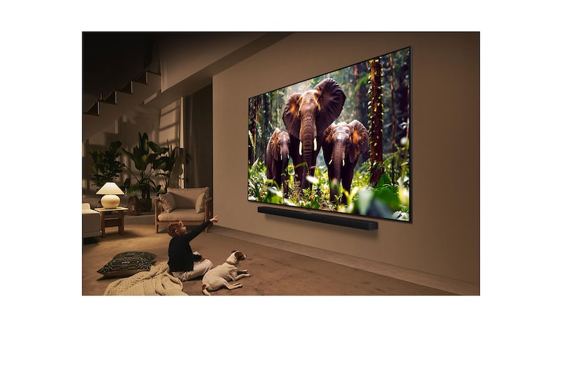 Ein Mädchen und ein Hund sitzen vor einem LG QNED-Fernseher, der an einer Wand montiert ist und drei Elefanten zeigt, die über einer LG Soundbar nach außen laufen. Der Titel spricht davon, dass jede Aktion auf einem großen Bildschirm noch spannender ist.