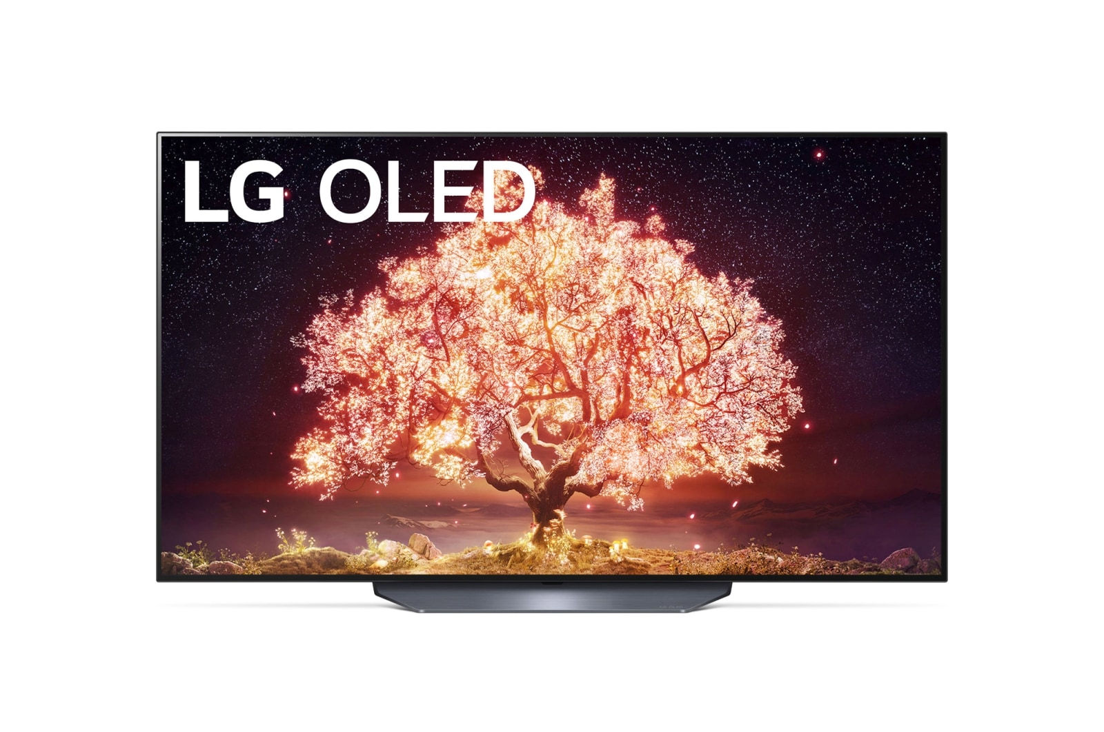 OLED55B19LA