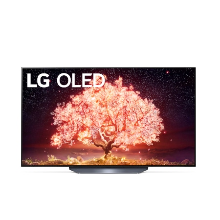 OLED55B19LA