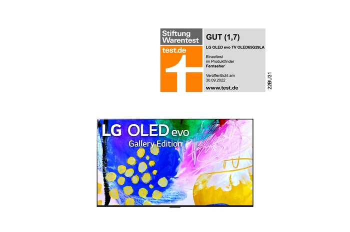 LG 65 Zoll LG 4K OLED evo TV G2, OLED65G29LA
