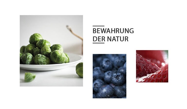 REF-NatureFRESH-Vplus-01-Story-03-Saving-Nature-Desktop