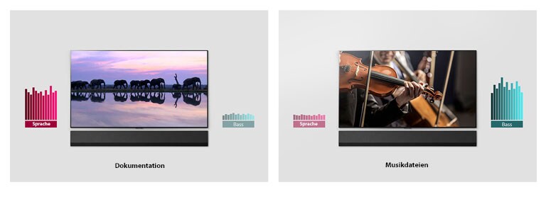 Zwei Bilder nebeneinander, auf denen wandmontierte Fernseher und Sound Bars zu sehen sind. Der eine TV zeigt Elefanten, auf dem anderen spielt ein Orchester. Neben den Fernsehern befinden sich je zwei Diagramme.