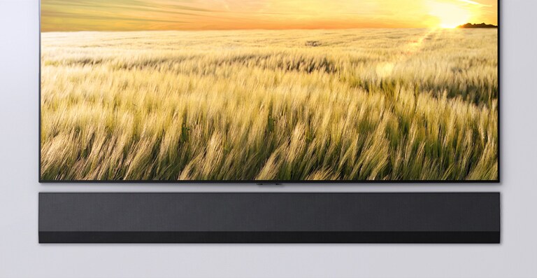 Frontansicht eines Fernsehers und einer Sound Bar. Der Fernseher zeigt ein Schilffeld bei Sonnenuntergang.