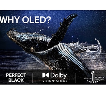 Stue med et vægmonteret LG OLED TV. På TV'et ses en bjergkæde mod en mørk nattehimmel fyldt med stjerner. Denne scene er opdelt i to for at vise, hvordan Perfekt sort leverer ægte sorte niveauer, uanset om der er lyst eller mørkt omkring dig. Den ene side viser en mere mat og grå version af landskabet, som er mærket “Ikke Perfekt sort skærm”. På den anden side ses et bedre billede med større dynamisk område for sort og hvid. Dette er mærket “Perfekt sort skærm”. Logo-certificering er også synlig, perfekt sort teknologi leverer sorte niveauer under eller lig med 0,24 nit op til 500 lux. En tekstboble ved siden af siger, kontroller certificeringsmærket for Perfekt sort.