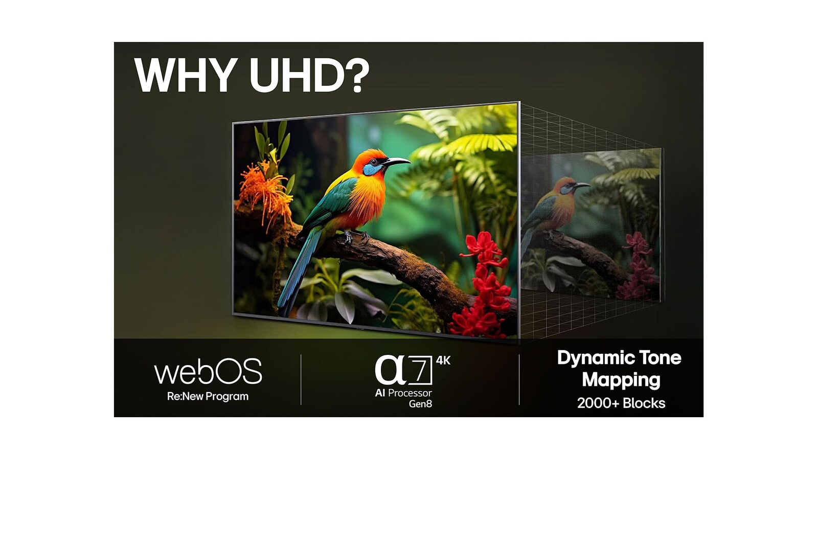 43” LG UHD AI UA73 4k Smart TV 2025