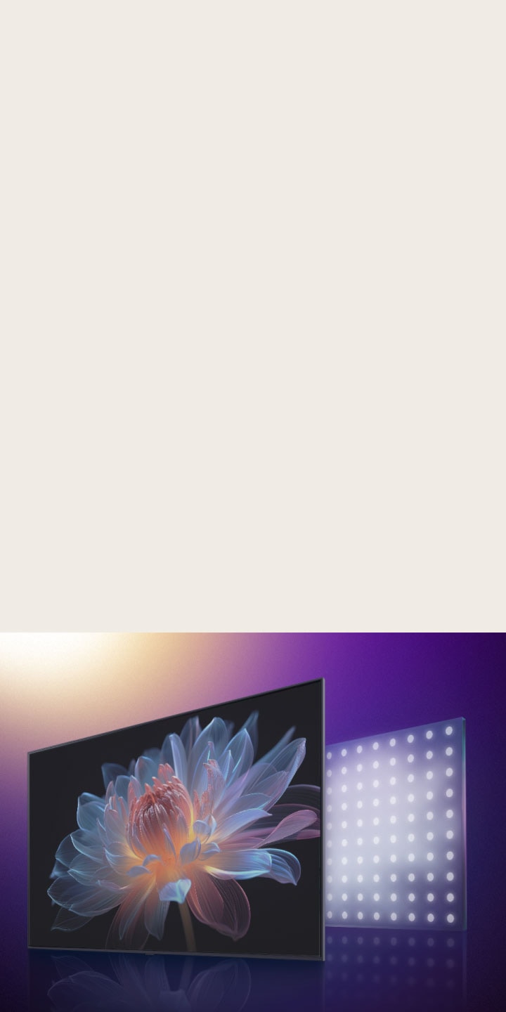 Tv-skærm med en holografisk blomst på. Bagved den er der en visuel repræsentation af LED lights. Den transformerer fra store til mindre LED lights, og det holografiske blomsterbillede er pludselig forbedret, hvilket viser, hvordan LG QNED evo er i stand til at styre lyset med større nøjagtighed, hvilket resulterer i et mere levende billede med høj kontrast.