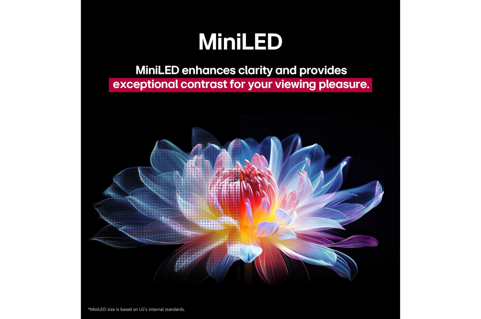 3D-holografisk blomst i mange forskellige nuancer og farver mod en sort baggrund. Blomstens skarphed og detaljer demonstrerer QNED MiniLED’s evne til at fremvise billeder med exceptionel farve, lysstyrke og kontrast. Titlen fortæller, hvordan MiniLED forbedrer klarhed og giver exceptionel kontrast.