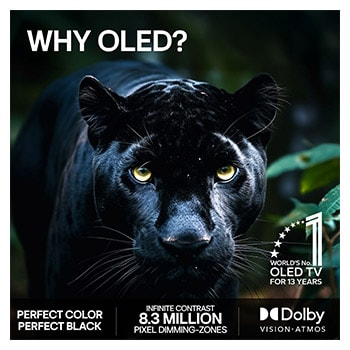 LG 83" OLED evo Gallery G6 4K AI TV - 2026