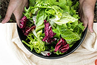 Hænder, som holder om en skål på et bord, der er fyldt med friske grøntsager.