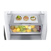 LG 1.86M 341L Kølefryseskab(Shiny Steel) - Energiklasse D, Door Cooling™, GBB71PZEGN