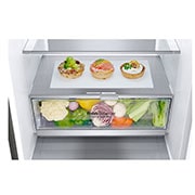 LG 1.86M 341L Kølefryseskab(Shiny Steel) - Energiklasse D, DoorCooling™ og Smart Diagnosis™, GBB71PZVGN