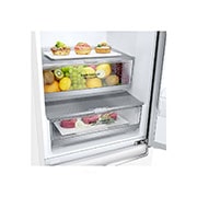 LG 1.86M 341L Kølefryseskab(Hvid) - Energiklasse E, Door Cooling™, GBB71SWEMN