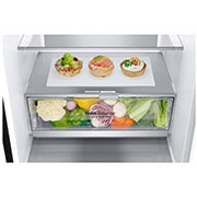 LG 2.03M 384L Kølefryseskab(Matte Black) - Energiklasse B, DoorCooling™ og Smart Diagnosis™ med Wi-Fi, GBB92MCABP