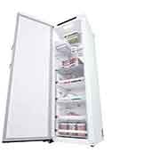 LG 324L Fritstående fryser (Hvid) - Energiklasse D, Total No Frost, Express Freeze, Smart Diagnosis™, GFT61SWCSF
