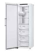 LG 324L Fritstående fryser (Hvid) - Energiklasse D, Total No Frost, Express Freeze, Smart Diagnosis™, GFT61SWCSF