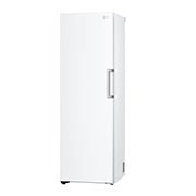 LG 324L Fritstående fryser (Hvid) - Energiklasse D, Total No Frost, Express Freeze, GFT41SWGSF