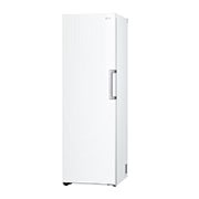 LG 324L Fritstående fryser (Hvid) - Energiklasse E, Total No Frost, Express Freeze, GFT41SWGSZ