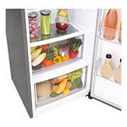 LG 375L Fritstående køleskab (Shiny Steel) - Energiklasse F, Moist Balance Crisper™ og Smart Diagnosis™ med Wi-Fi, GL5241PZJZ1