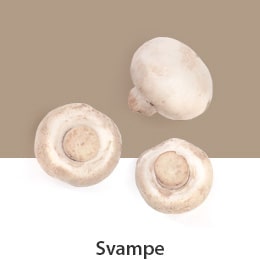 D10-01_REF-NatureFRESH-Vplus-03-UsefulTips-04-9-Mushrooms