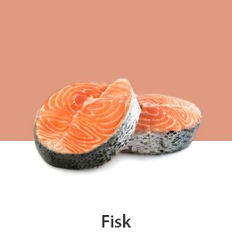 D10-04_REF-NatureFRESH-Vplus-03-UsefulTips-04-9-Mushrooms