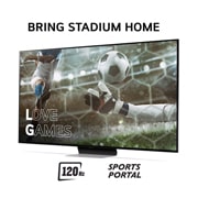 LG 75" QNED 91 - QNED Mini LED 4K Smart TV (2024), 75QNED91T6A