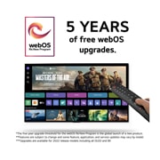 LG 75" QNED 91 - QNED Mini LED 4K Smart TV (2024), 75QNED91T6A