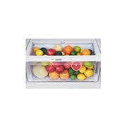 LG ضاغط خطي 509 لترات، 18 قدمًا مكعبًا، موزع، فلتر تنقية Hygiene Fresh، خاصية Door Cooling, GN-F722HLHU