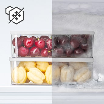 نصف التوت طازج، ونصفه مُجمَّد مع أيقونة ميزة عدم وجود صقيع (total no frost).