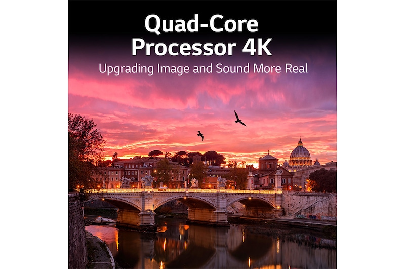 LG سلسلة تلفزيون LG NanoCell،‏ 65 بوصة NANO80، بتصميم شاشة السينما الرائع بدقة 4K والمزود بتقنية Active HDR ونظام تشغيل WebOS بالإضافة إلى تقنية Smart ThinQ AI وتقنية الإعتام المحلي , 65NANO80VPA