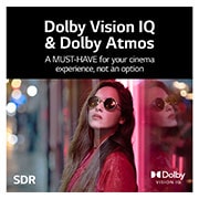 LG سلسلة تلفزيون LG NanoCell،‏ 75 بوصة NANO90، بتصميم شاشة السينما الرائع بدقة 4K وتقنية Cinema HDR ونظام تشغيل WebOS بالإضافة إلى تقنية Smart ThinQ AI وتقنية إعتام الصفيف الكامل , 75NANO90VPA