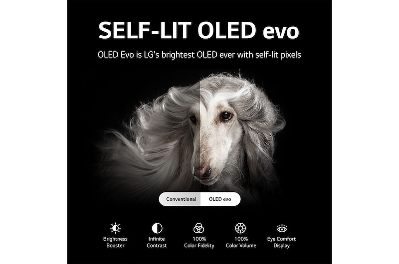 LG تلفاز LG OLED مقاس 65 بوصة من سلسلة G2، مع HDR (النطاق الديناميكي العالي) السينمائي بدقة 4K تصميم Gallery Design والمزوّد بإمكانية تعتيم البكسل بتقنية AI ThinQ للتلفزيون الذكي بنظام التشغيل WebOS, OLED65G26LA