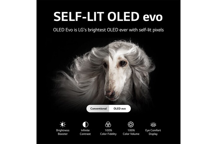 LG تلفاز LG OLED مقاس 65 بوصة من سلسلة G2، مع HDR (النطاق الديناميكي العالي) السينمائي بدقة 4K تصميم Gallery Design والمزوّد بإمكانية تعتيم البكسل بتقنية AI ThinQ للتلفزيون الذكي بنظام التشغيل WebOS, OLED65G26LA