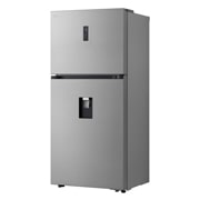 صورة جانبية للجانب الأيمن