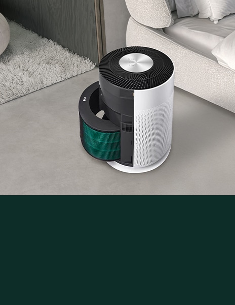 This is a picture of the LG air purifier filter