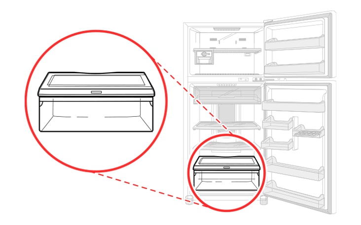 This is a vegetable drawer located at the bottom of the refrigerator compartment