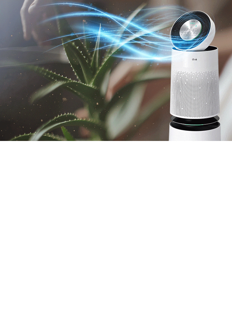 Fresh Air All Over Your Home