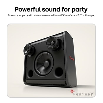 USP card: Powerful sound for party