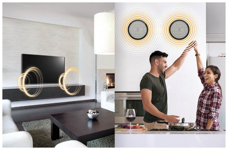 External Speaker Out<br>1